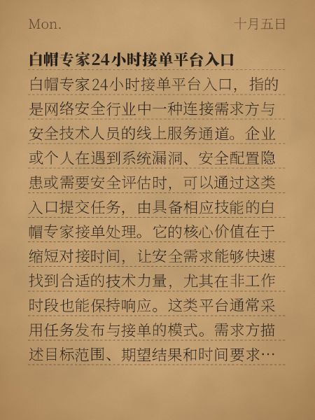 白帽专家24小时接单平台入口